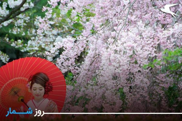 روزشمار: 30 اسفند؛ جشنواره شکوفه گیلاس، ژاپن