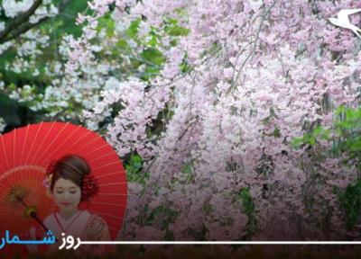 روزشمار: 30 اسفند؛ جشنواره شکوفه گیلاس، ژاپن