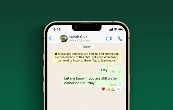 واتساپ iOS به زودی اجازه می دهد با هر ایموجی به پیغام ها واکنش نشان دهید