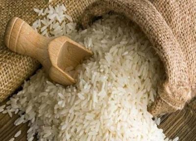 برنج های آب گرفته آزمایش می شوند